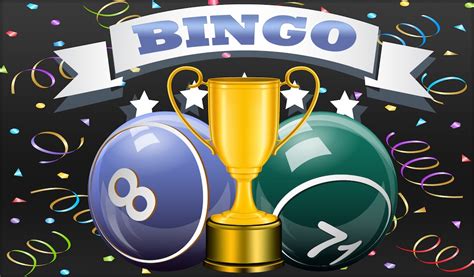bingo big winner|is bingo big winner legit.